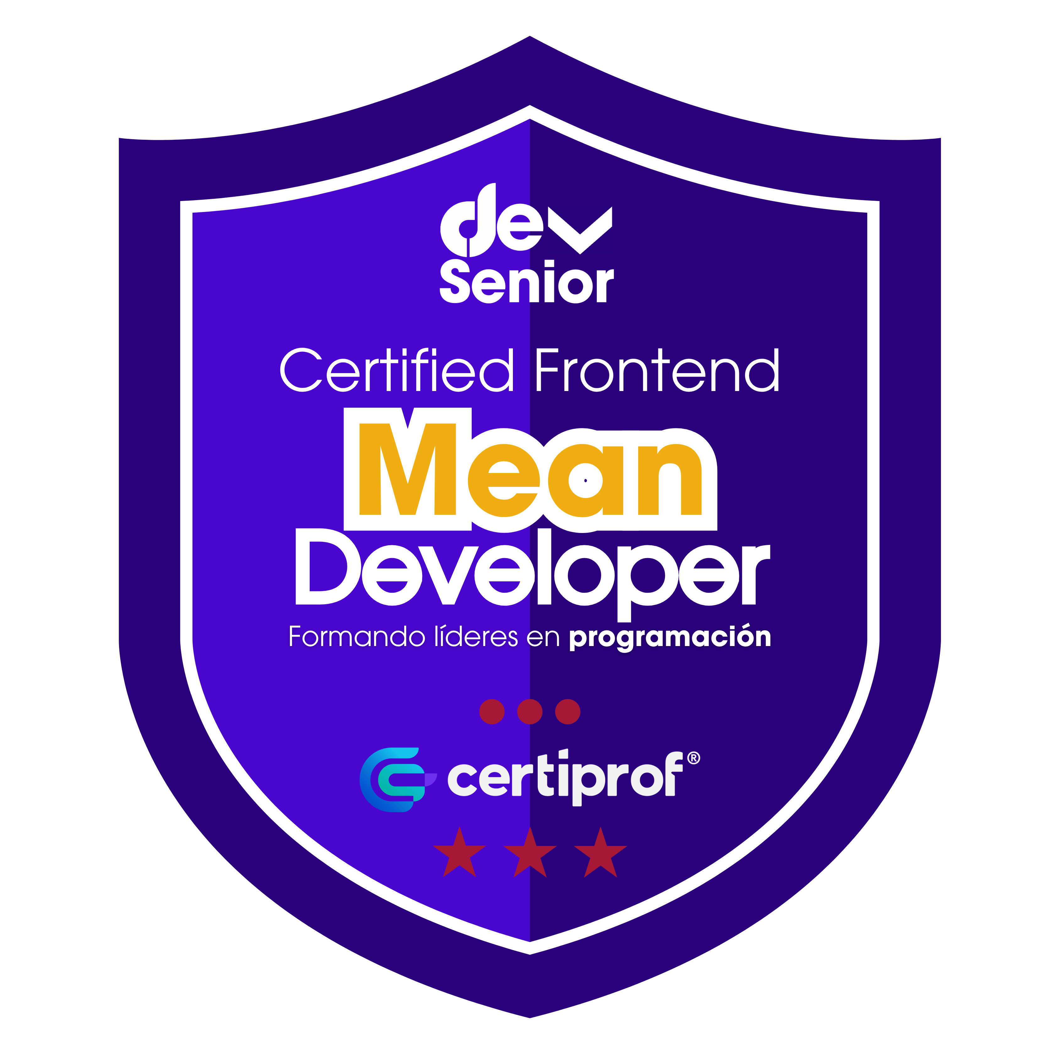 Insignia Frontend MEAN Developer